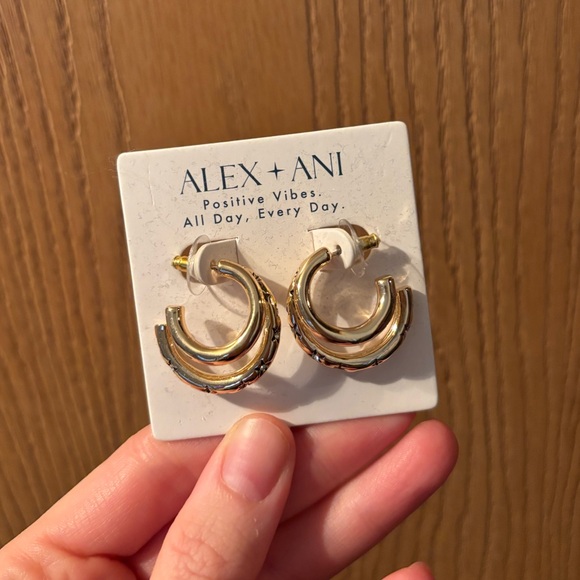 Alex and Ani Star Earrings - Picture 2 of 5
